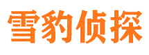 鸡东外遇出轨调查取证